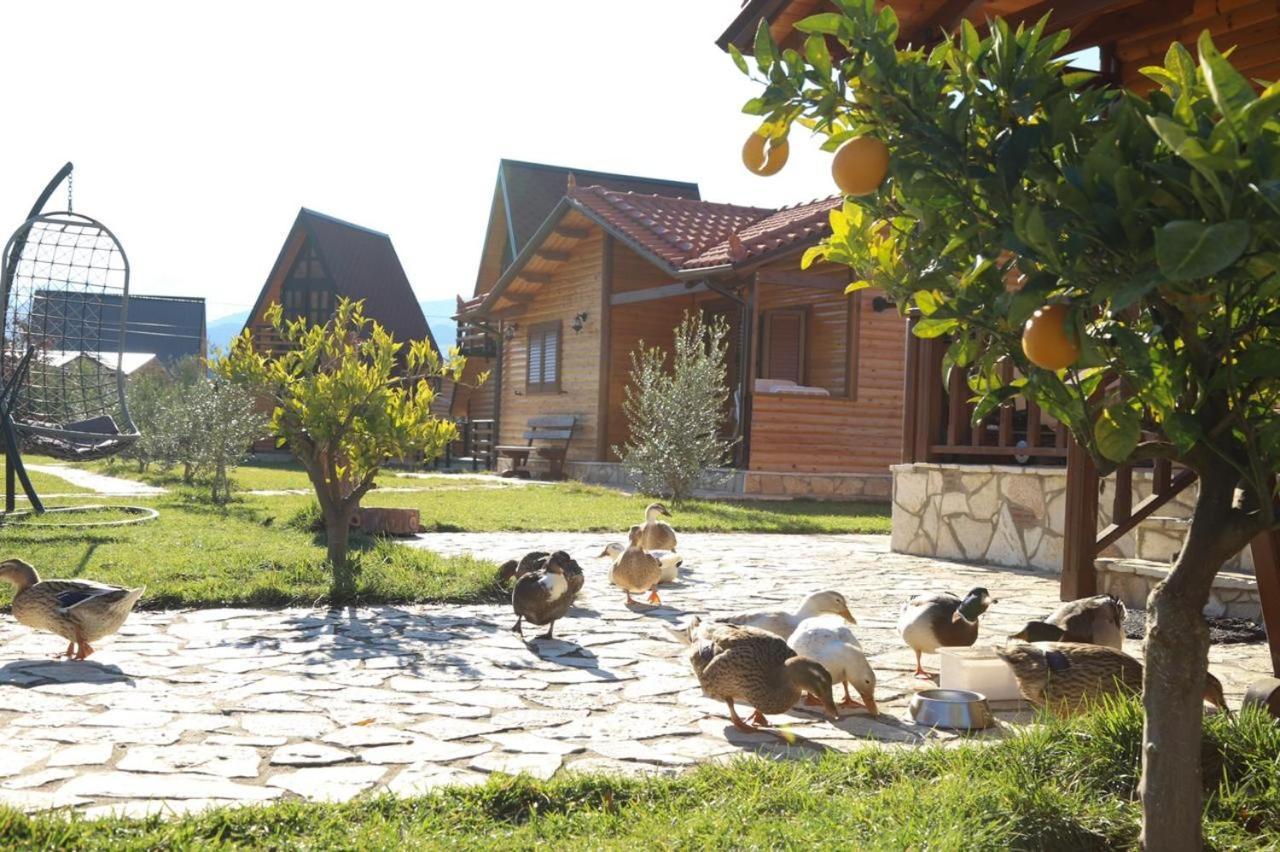 MemaliajSancho Farm Albania别墅 外观 照片