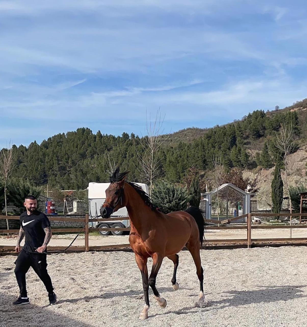 MemaliajSancho Farm Albania别墅 外观 照片