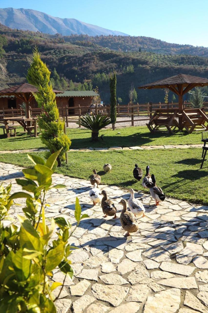 MemaliajSancho Farm Albania别墅 外观 照片